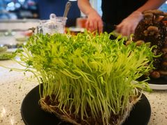 -椰子营·椰子鸡火锅(万象里店)