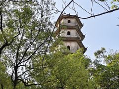 -江心屿景区