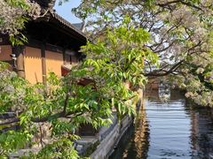 -同里国家湿地公园
