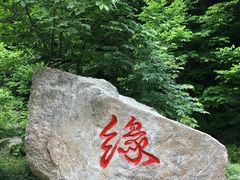 -庆岭迎宾园正宗活鱼馆