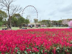 -顾村公园