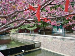 -石岛赤山风景区