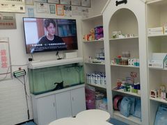-特一安24小时宠物医院·骨科·中兽医