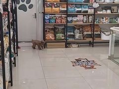 -佳雯宠物医院(四明中路分院)