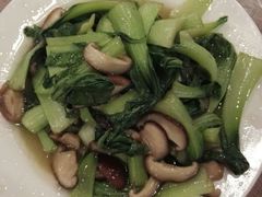-黄山排云型旅酒店餐厅