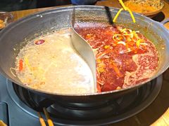 -阳阳老火锅(小南门店)