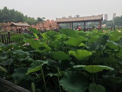 -裕华世纪公园