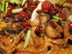 -老板恋上鱼(印象城店)