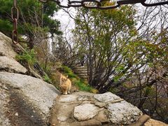 -华山风景名胜区