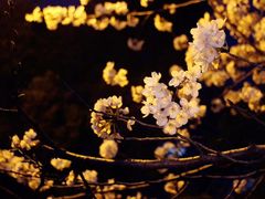 -胖哥俩肉蟹煲(宿迁宝龙广场店)