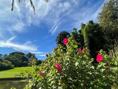 -墨尔本皇家植物园