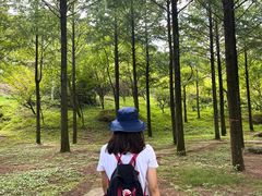 -四明山国家森林公园