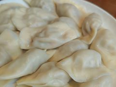 酸菜馅饺子-一轩饺子馆(丽都店)