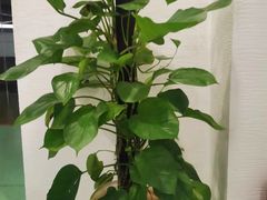 -宝力豪健身(中粮广场店)