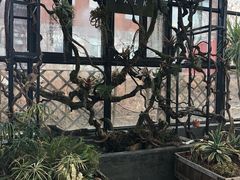 -北马山庄植趣咖啡