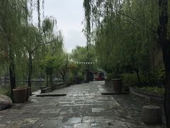 -黑河国家森林公园