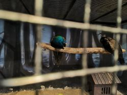 -酷嗒动物文化乐园(cutezoo西溪乐天城店)