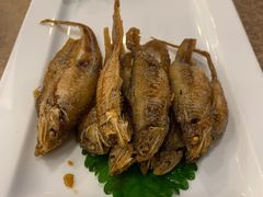 -一品粤珍轩(吴中路店)