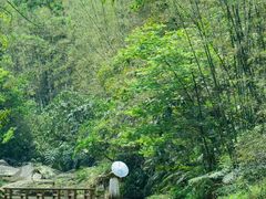 -赤水丹霞旅游区·大瀑布