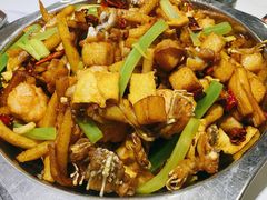 干锅牛蛙-馋嘴蛙火锅