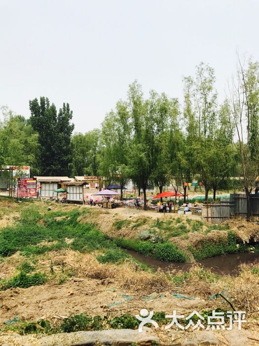 洼里乡居楼-图片-北京休闲娱乐-大众点评网