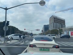 -广富林郊野公园