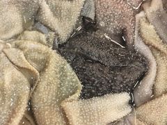 -重庆老火锅王(永陵路分店)