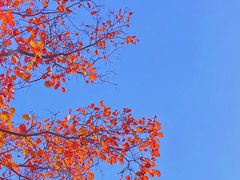 -周口店北京人遗址公园