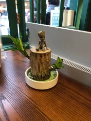 -595barbershop美式油头