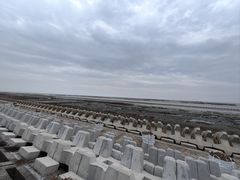 -南汇嘴观海公园