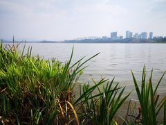 -星巴克(成都科学城店)