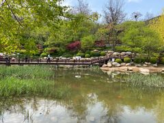 -大连植物园