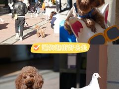 -王府井奥莱临潼小镇(临潼店)