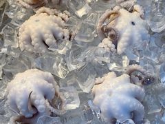 -铭聚章鱼土笋冻(松柏店)