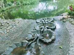 -成都市活水公园