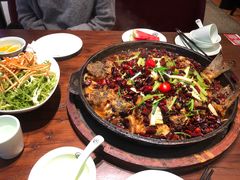 -老板恋上鱼(荣盛广场店)