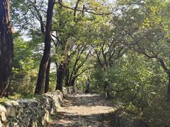 -阳台山自然风景区