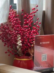 点击看大图 -上海玫瑰医疗美容医院