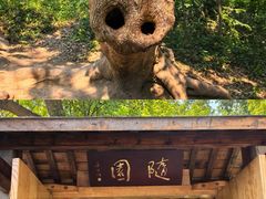 -上海佘山国家森林公园天马山园