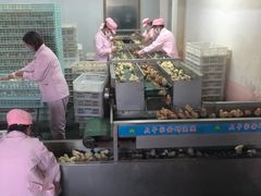 -兴芮温泉度假区