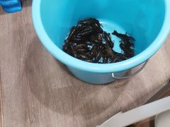 -马帮寨绿地农庄店