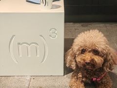 -CUBIC3三立方咖啡(西岸凤巢店)