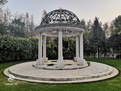 -合肥滨湖国家森林公园