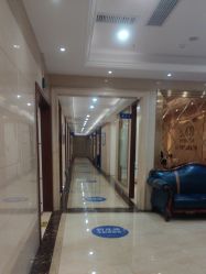 -碧莲盛·不剃发植发