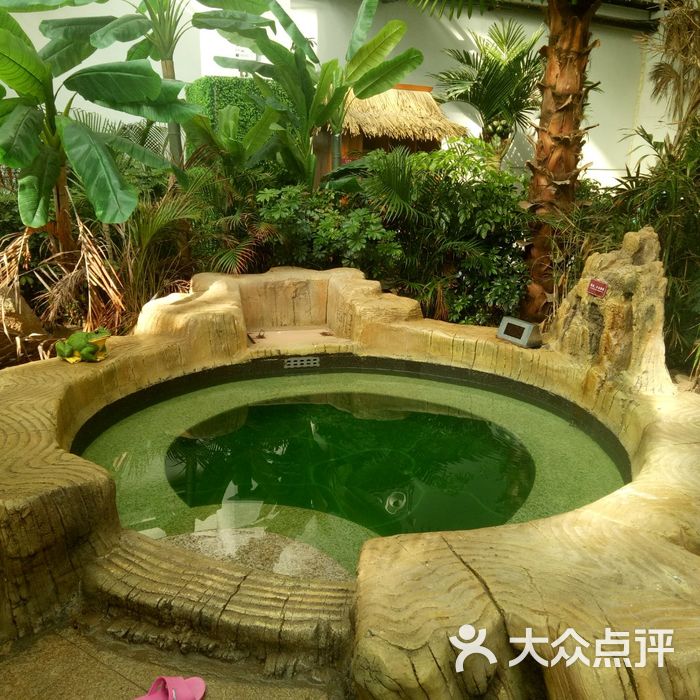 悦隆庄温泉度假酒店图片