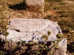 -盘龙城国家考古遗址公园