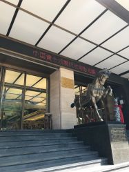 -中国黄金(北京旗舰店)