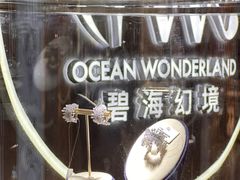 -大悦城(沈阳中街店)