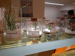 -XI·LaundryCafe 喜咖自助洗衣咖啡店