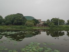 -新江湾城公园